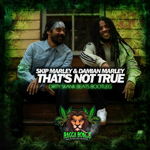 Skip Marley & Damian Marley - That's Not True (Dirty Skank Beats Bootleg)