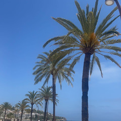 TROPICANA