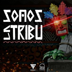 Somos La Tribu (Live Session)
