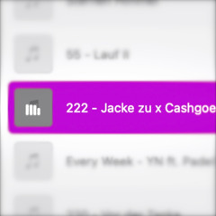 222 - Jacke zu x Cashgoescrazy (2021)