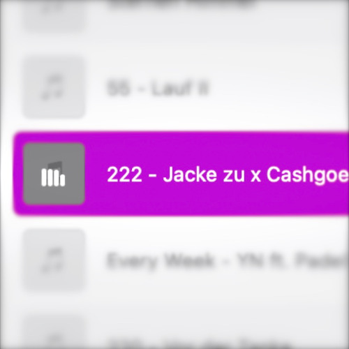 222 - Jacke zu x Cashgoescrazy (2021)