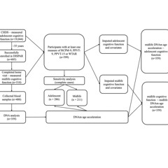 Childhood, Adolescence, and Midlife Cognitive Function Linked to Age Acceleration in Midlife