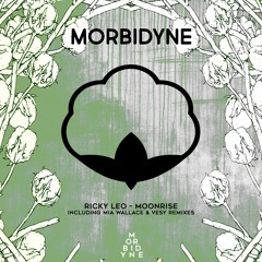 PREMIERE : Ricky Leo - Moonrise (Mia Wallace Remix)