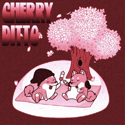 Cherry Ditto