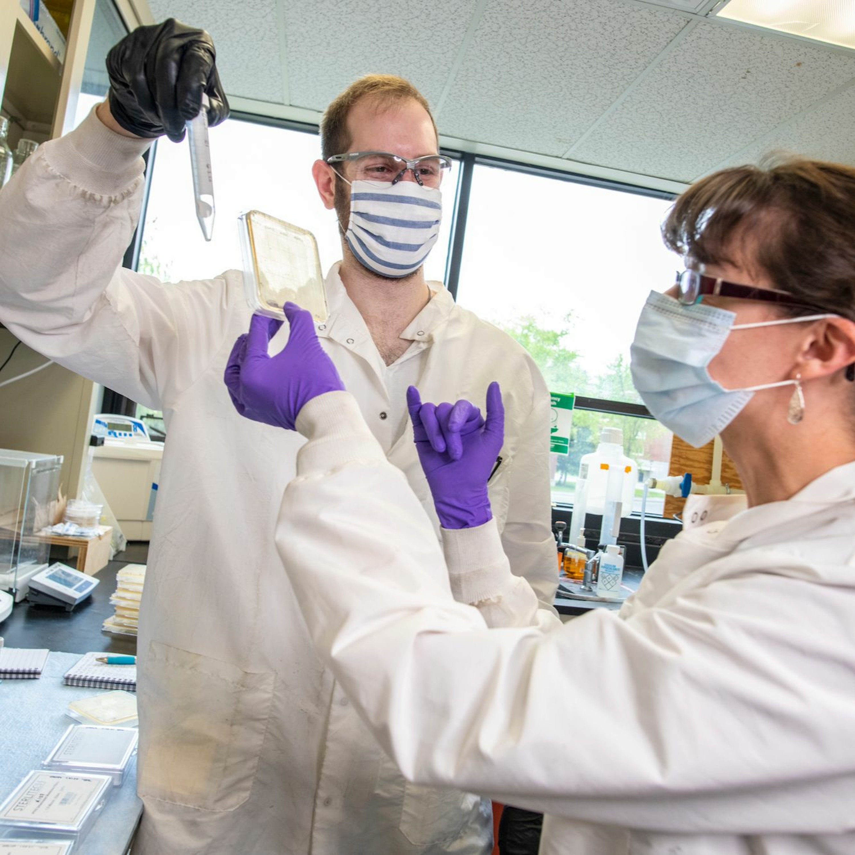 What role does graduate research play at UMaine and in the state? episode artwork