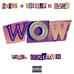 WOW - Feat. Lil Djp, Luci! (Prod. Yungman, Moonsonthetrack)