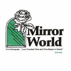 Mirror World