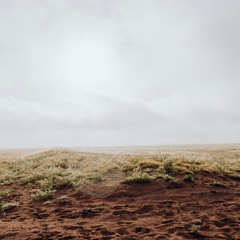 The Desert