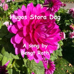 Hugos Stora Dag (Hugo's Big Day) Lyrics in English in description below.