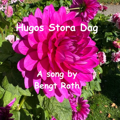 Hugos Stora Dag (Hugo's Big Day) Lyrics in English in description below.