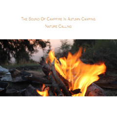 모닥불소리 The Sound Of Bonfire