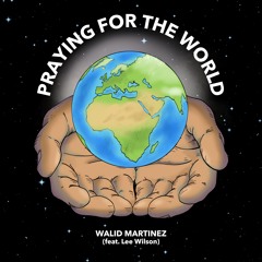 DTR043 - Walid Martinez - Praying for the World (feat. Lee Wilson)