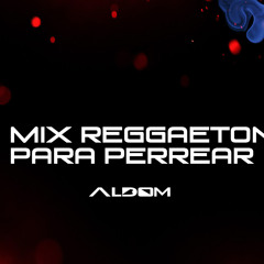 Mix Reggaeton para perrear (Dj Aldom)