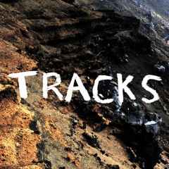 Tracks