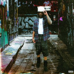 zukenee - katt stacks (p. willem)