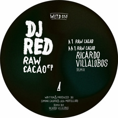 Raw Cacao (Ricardo Villalobos Remix)