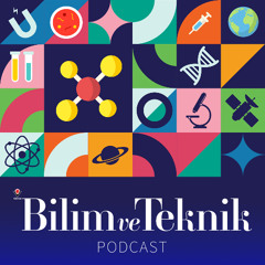 Mühendislik mi Temel Bilim mi? Üniversite Tercihleri İçin Prof. Dr. Eren Kalay’dan Tavsiyeler