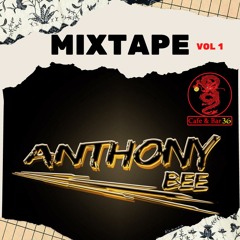 Mixtape DJ Anthony Bee ( Extended )
