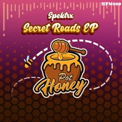 Spektrx - Secrets Roads (Original Mix)