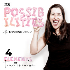 Possibilities - 4 Elements of True Creation