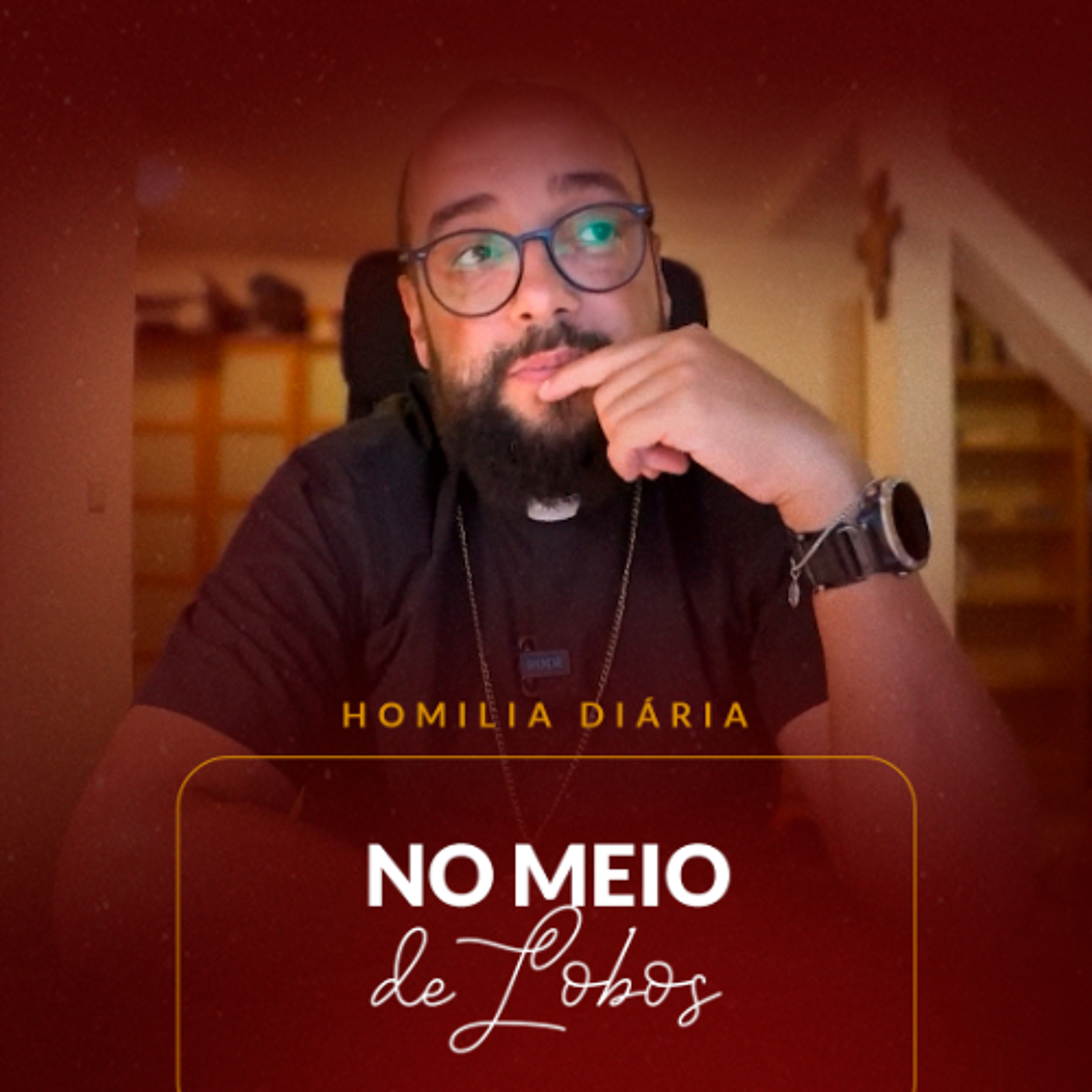 Homilia Diária - No meio Lobos | 2025.10.18