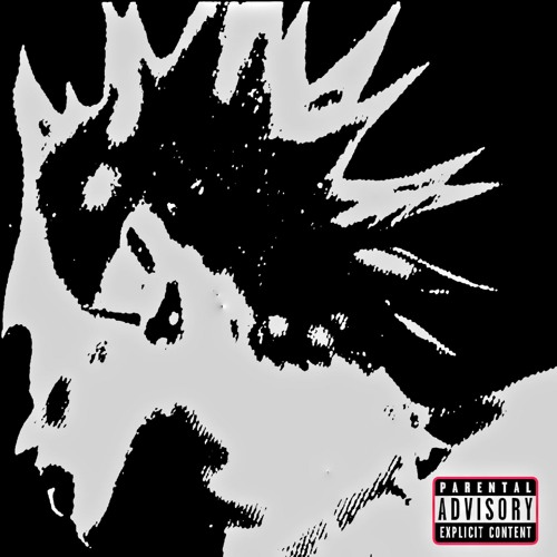 e'pu$h w/ NAES REBORN (prod.Redda)