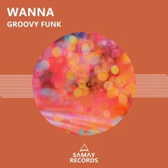 Wanna - Groovy Funk (Original Mix) (SAMAY RECORDS)