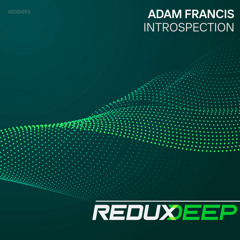 Introspection (Extended Mix)