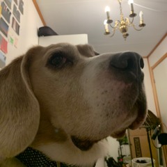 Nonculinary 07(Slimy walks and cozy socks)