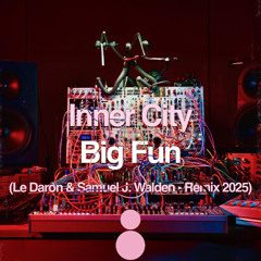 (Preview) Big Fun · Inner City Revisited 2025 ( Le Daron - J.Walden )