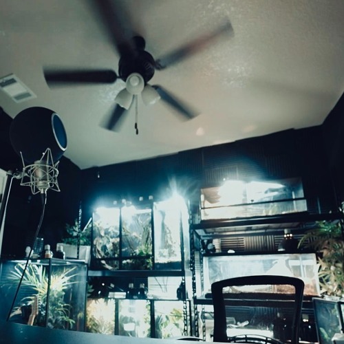 Jace! - PARALYZED REMASTER P. PERRY ANTSWORLD.WAV