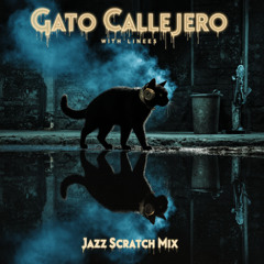 Gato Callejero