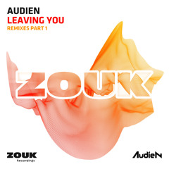 Leaving You (Thomas Newson Extended Remix)