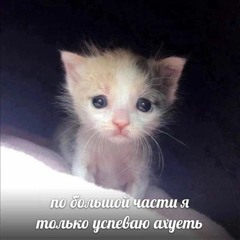 а почему ты жить не хочешь? (автор звука в тт - @mazzzelov_)