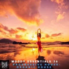 Moody Essentials 56 ~ #ProgressiveHouse #OrganicHouse Mix