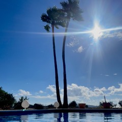 Soundtrack of my Ibiza Trip !  (10/24)
