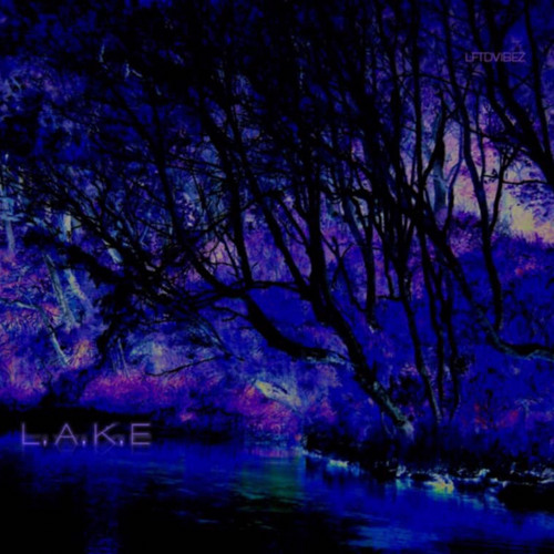 L.A.K.E.