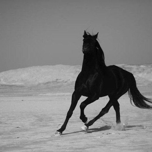 Ramy Gamal - Kanno Magash | رامي جمال - كأنه مجاش
