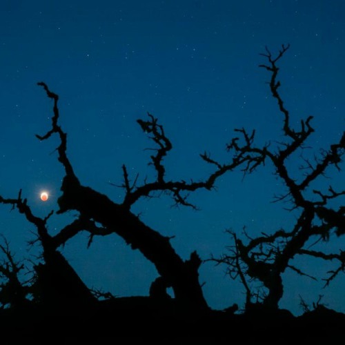 slow psytrance (soft psytrance / triplets / tripping / psybient / psychill / chillgressive)