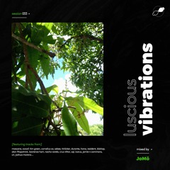 Session 033 (Vol. 04) (Mixed By: JoMö)
