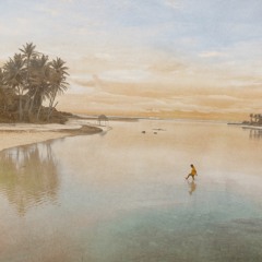 Shim Out -  disquiet0506