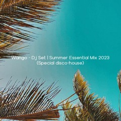 Summer Essential Mix 2023 (Special disco-house)