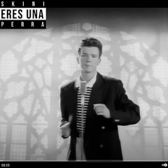 SKIADOR- TYPESHIT (Beny Jr)