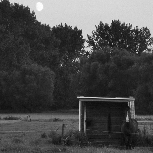 Dream On #2 - St. Colin