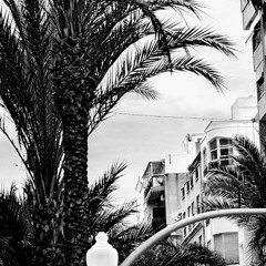 IMMER SCHLIMMER (DEMO)