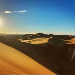 Desert Train Project 3  - Giant Desert