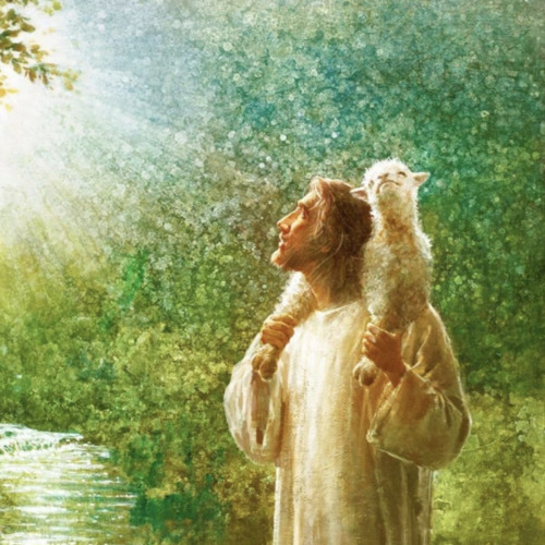 You’re the True Shepherd