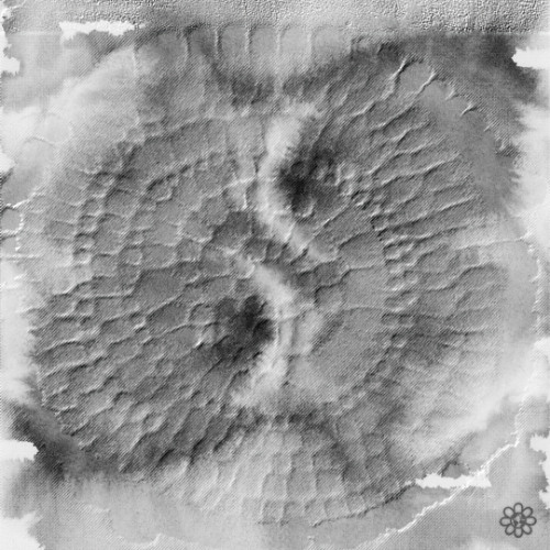 Tamerici - Palàssiti