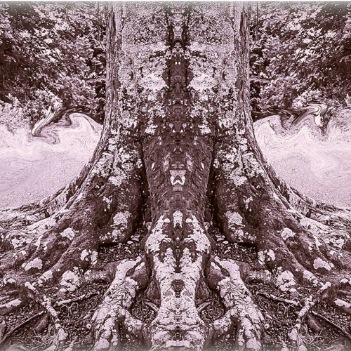 MXXNLIGHT FT. HYPNOKID