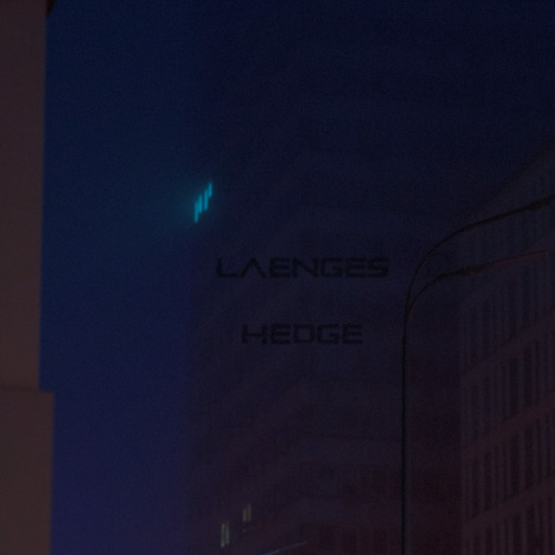Hedge